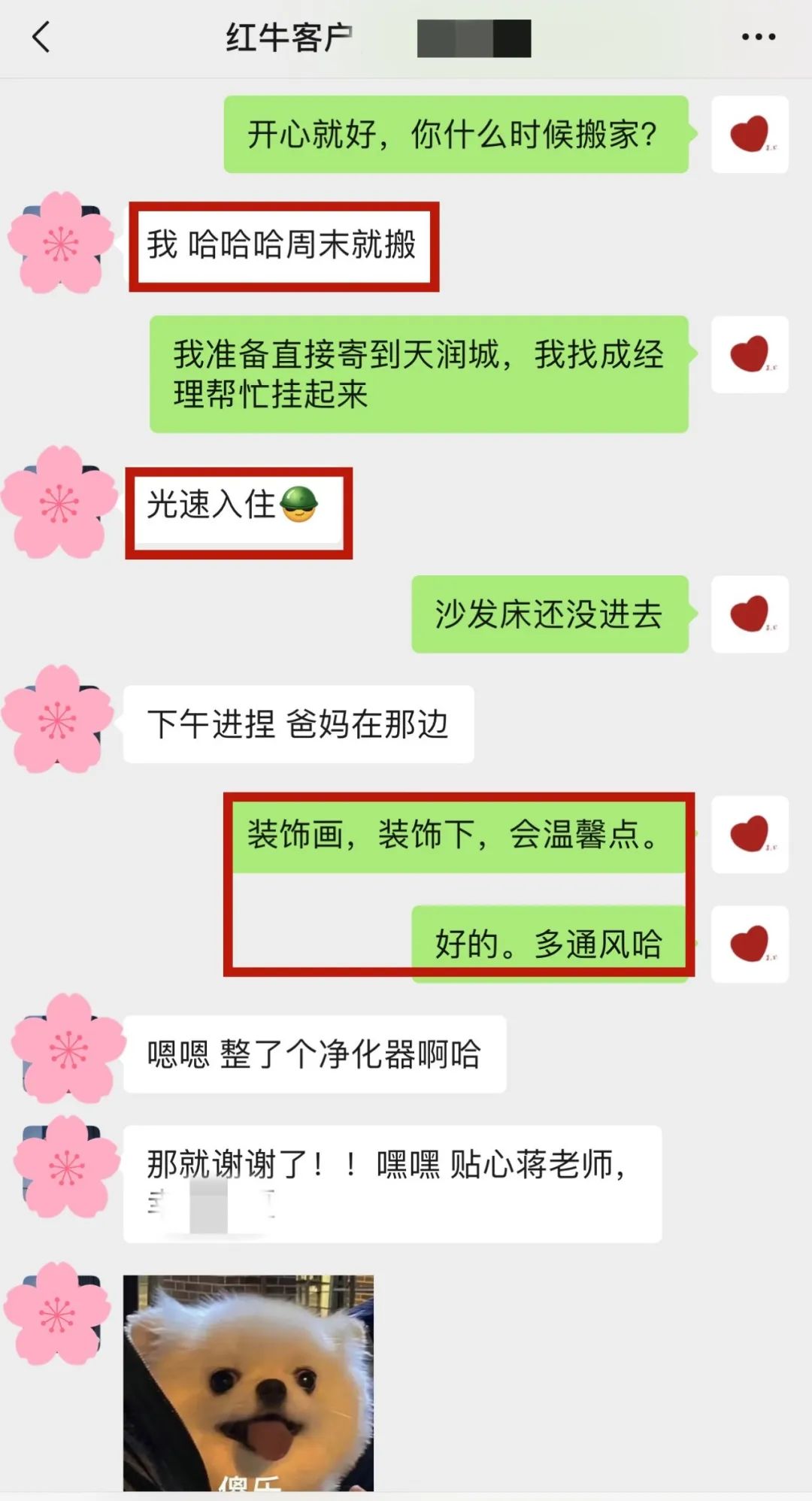 喜報｜金秋十月，收獲滿滿，紅牛裝飾再獲三面錦旗！05